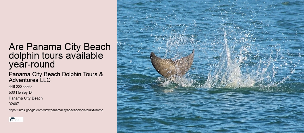 Are Panama City Beach dolphin tours available year-round