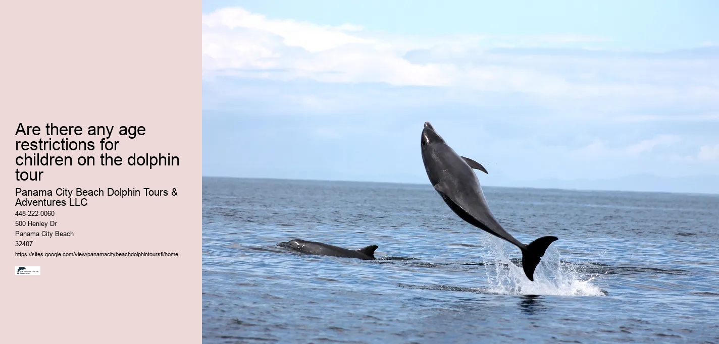 Are there any age restrictions for children on the dolphin tour