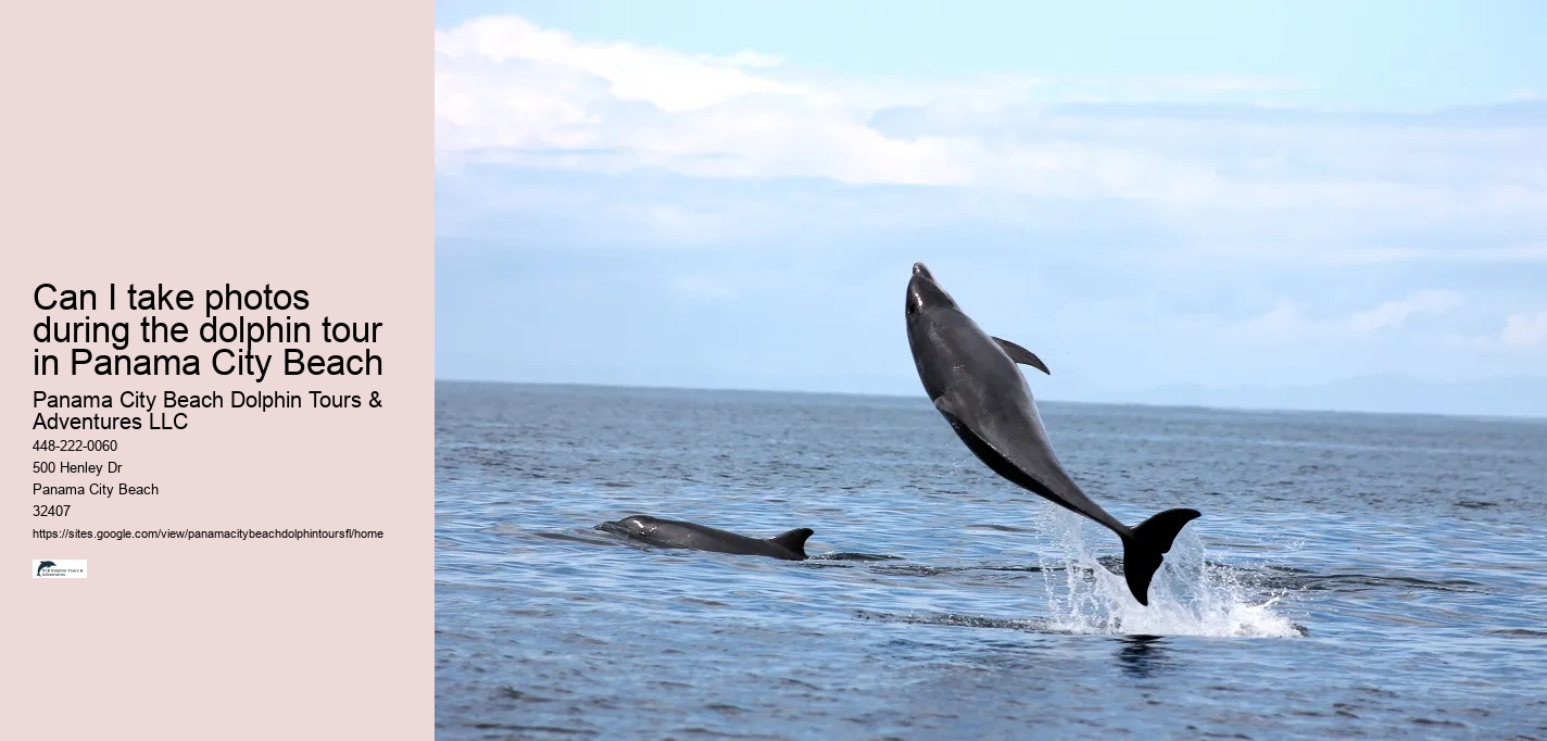 Can I take photos during the dolphin tour in Panama City Beach