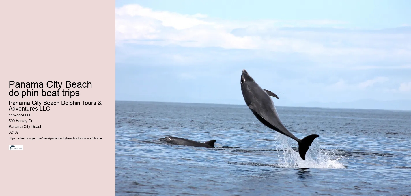 Panama City Beach dolphin boat trips