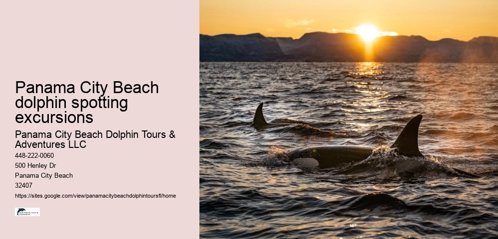 Panama City Beach dolphin spotting excursions