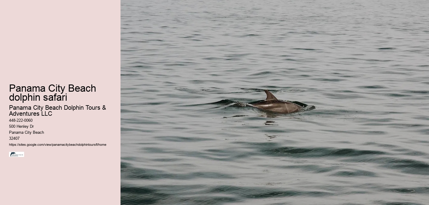 Panama City Beach dolphin safari