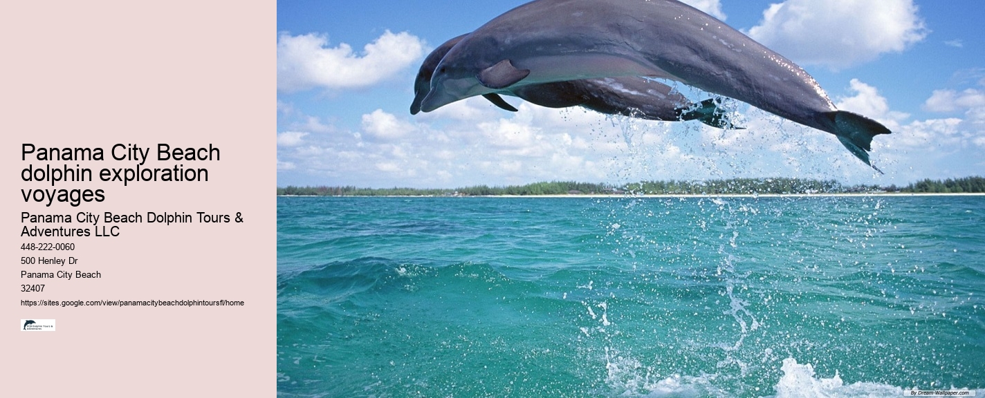 Panama City Beach dolphin discovery cruises