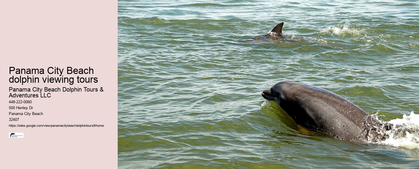 Panama City Beach Fl Dolphin Cruise