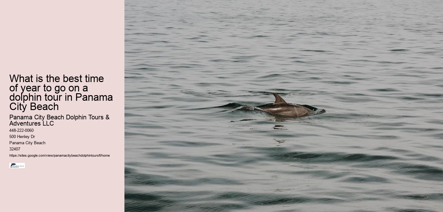 What is the best time of year to go on a dolphin tour in Panama City Beach