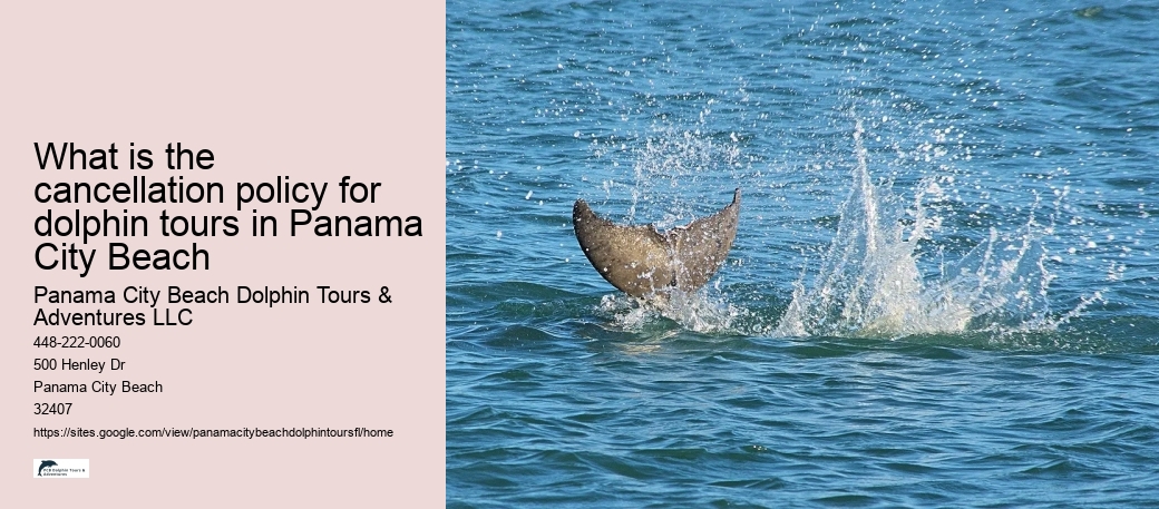 What is the cancellation policy for dolphin tours in Panama City Beach