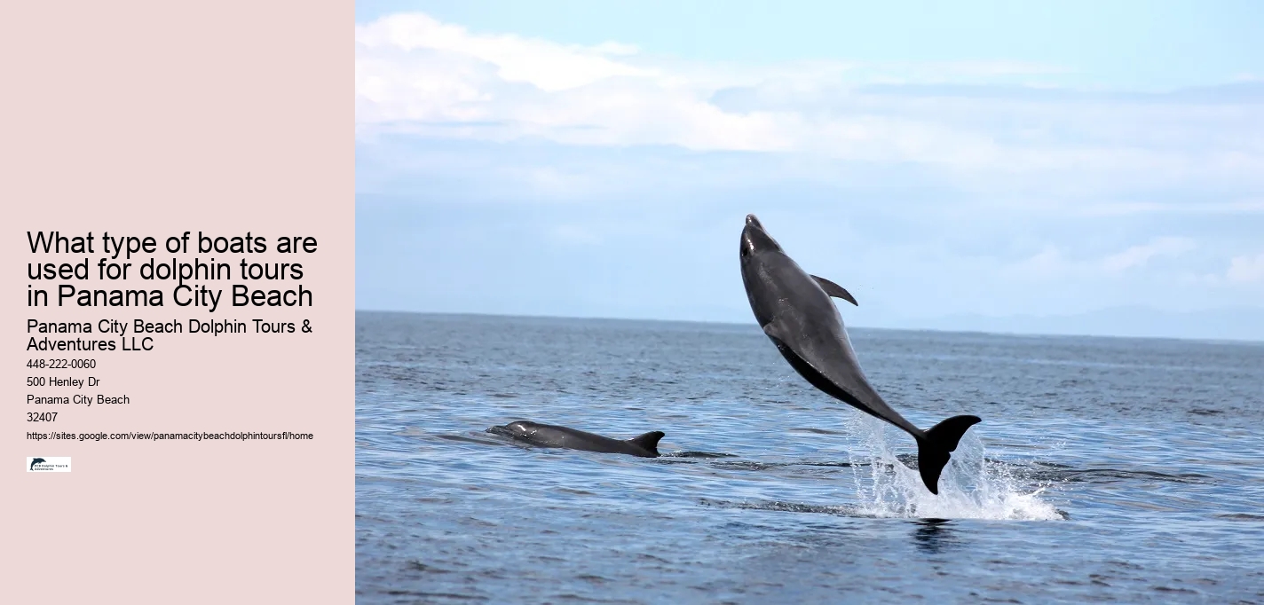 What type of boats are used for dolphin tours in Panama City Beach