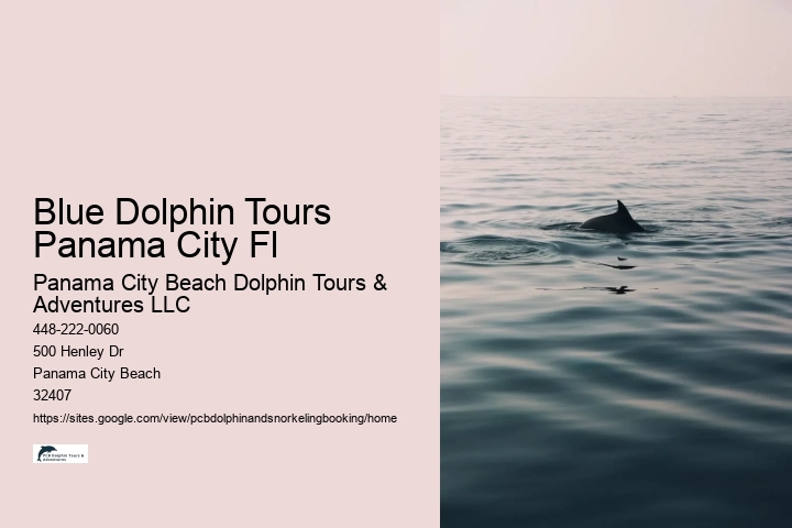 Blue Dolphin Tours Panama City Fl