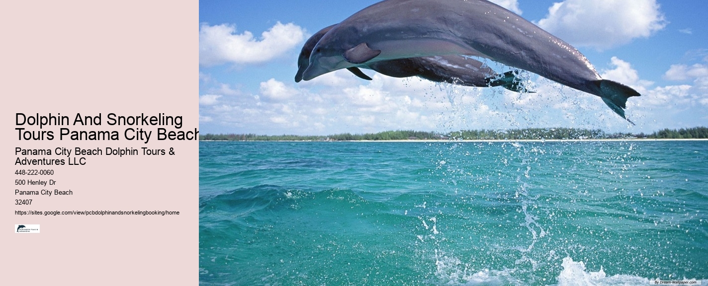 Dolphin And Snorkeling Tours Panama City Beach Florida