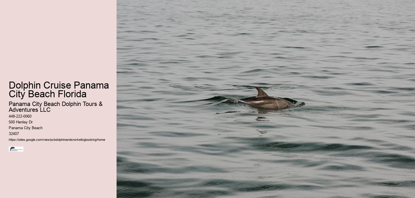 Dolphin Cruise Panama City Beach Florida