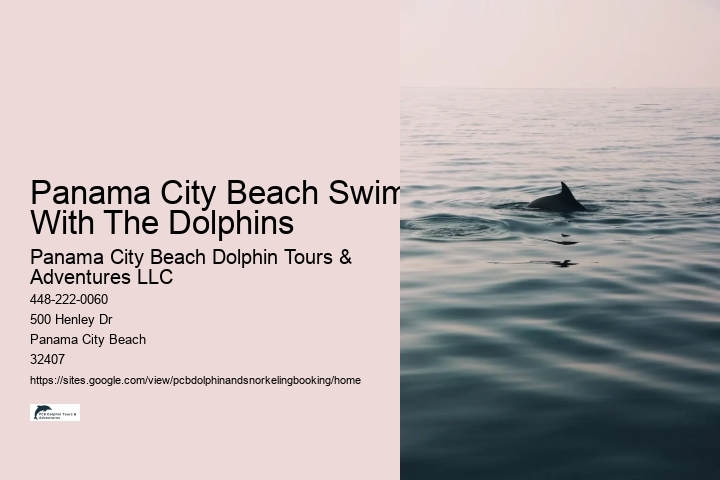 Panama City Beach Swim With The Dolphins