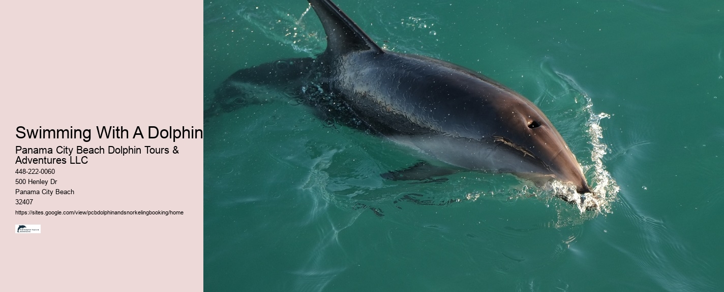 Jet Ski Dolphin