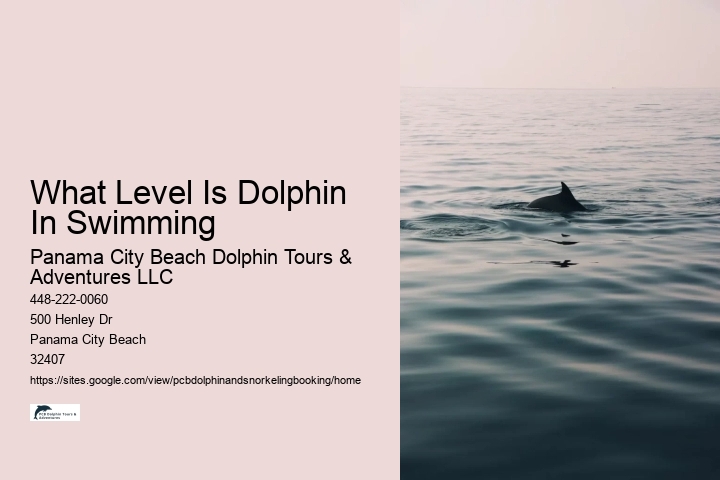 What Level Is Dolphin In Swimming