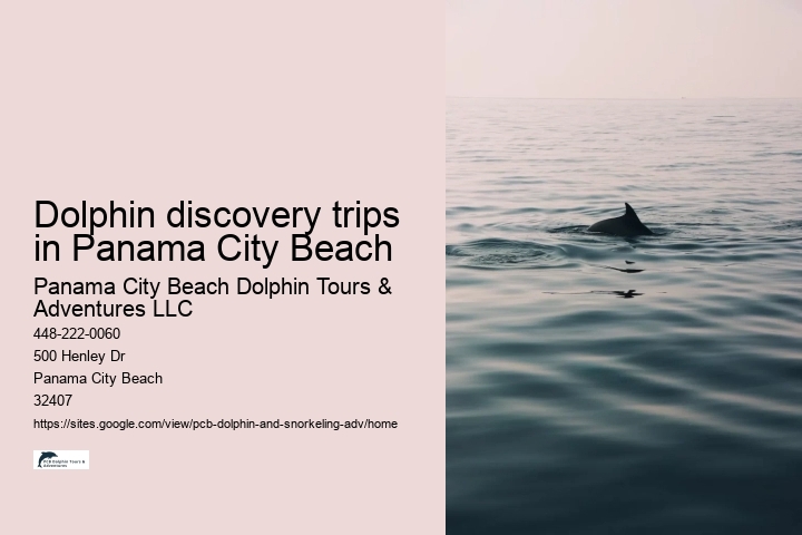 Dolphin discovery trips in Panama City Beach