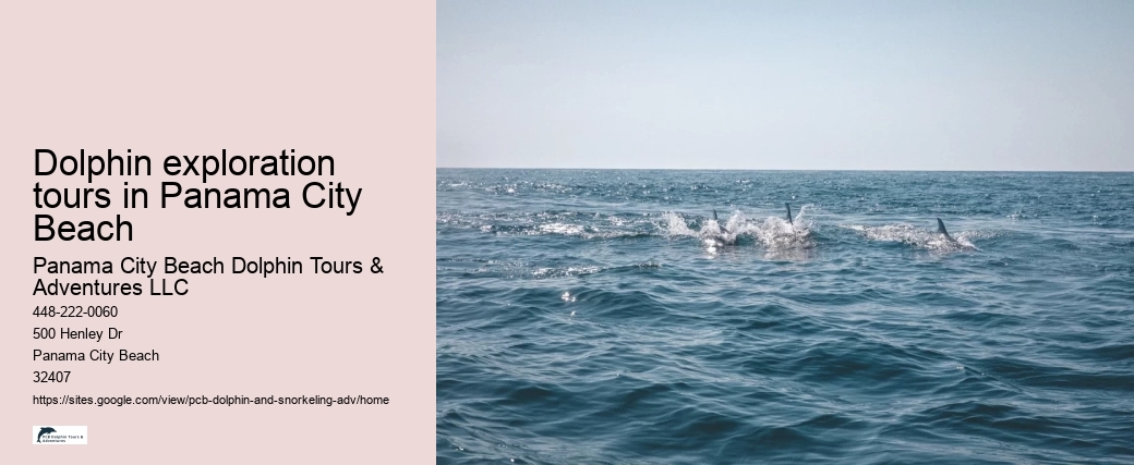 Dolphin exploration tours in Panama City Beach