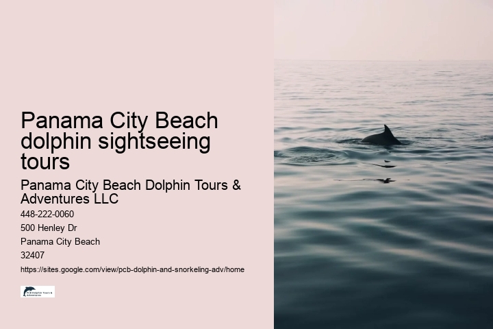 Panama City Beach dolphin sightseeing tours