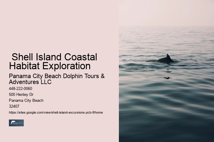  Shell Island Coastal Habitat Exploration