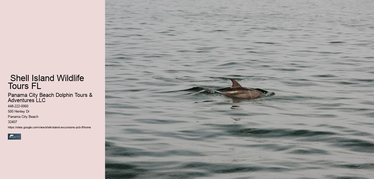  Shell Island Wildlife Tours FL