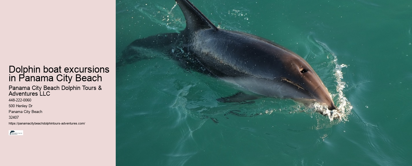 Panama City Beach Dolphin Tours Adventures Show