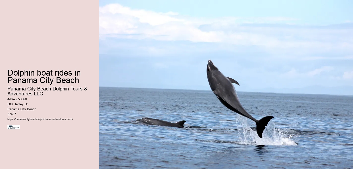 Dolphin boat rides in Panama City Beach