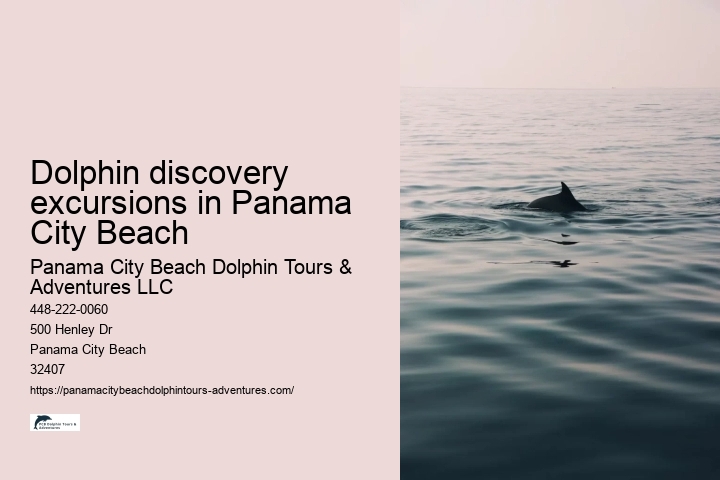 Dolphin discovery excursions in Panama City Beach