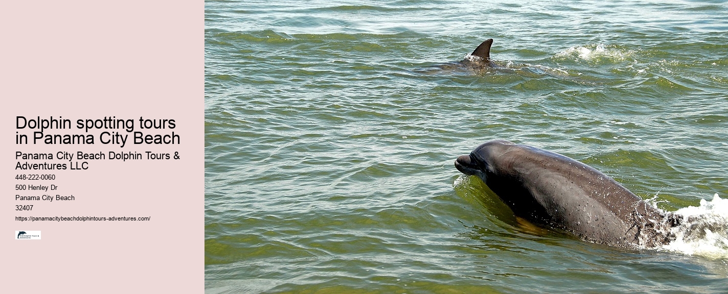 Panama City Beach Dolphin Tours Adventures Timeshare