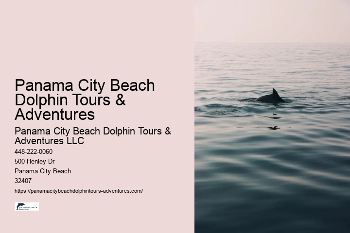 Panama City Beach Dolphin Tours & Adventures