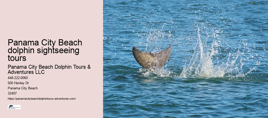 Panama City Beach dolphin sightseeing tours