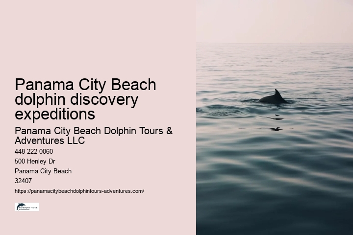 Panama City Beach dolphin discovery expeditions