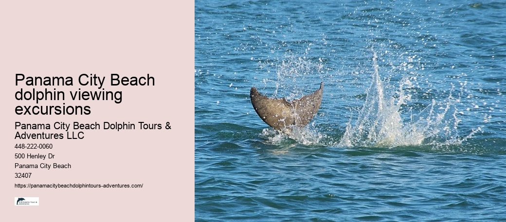 Panama City Beach dolphin viewing excursions