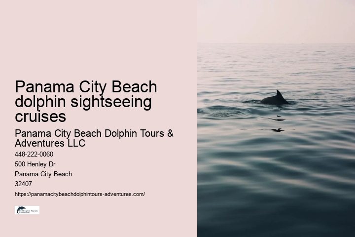 Panama City Beach dolphin sightseeing cruises