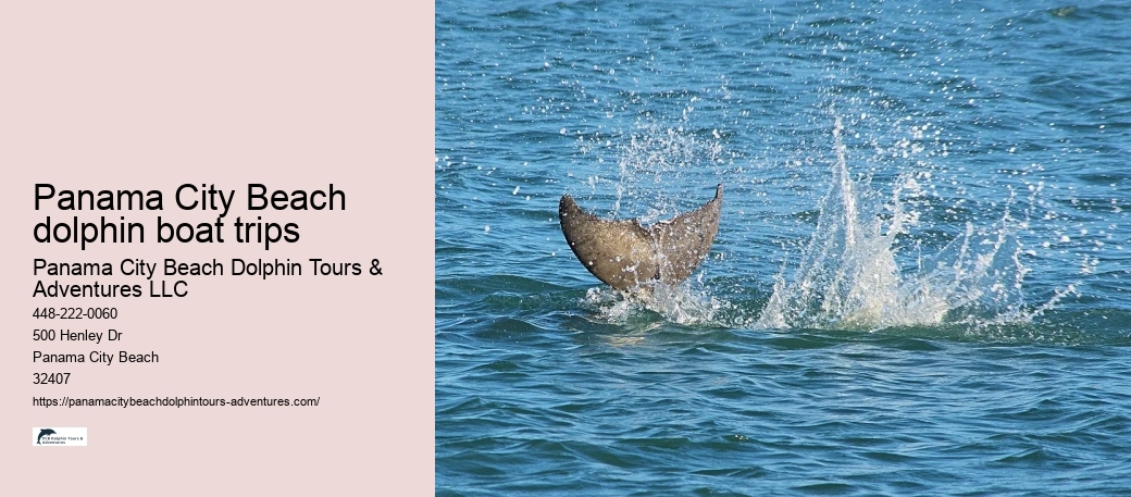 Panama City Beach dolphin boat trips