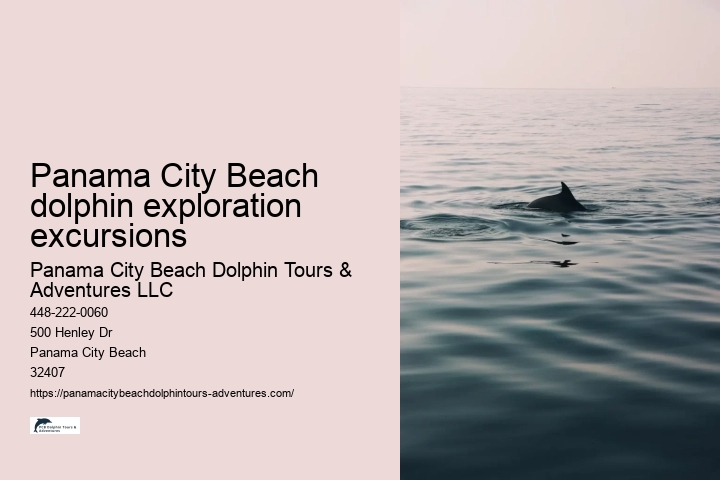 Panama City Beach dolphin exploration excursions