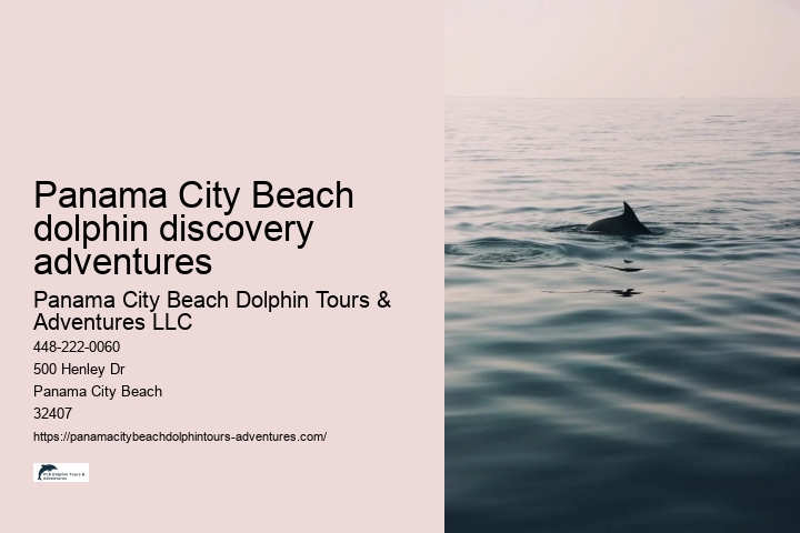 Panama City Beach dolphin discovery adventures