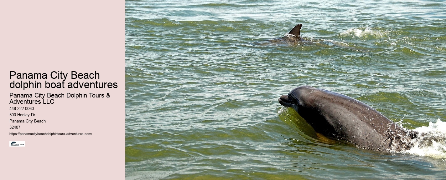 Panama City Beach Dolphin Tours Adventures Tiki